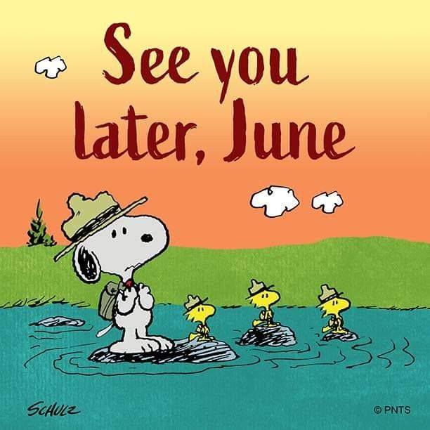 Pin by Barbara Rathmanner on Snoopy and the Peanuts   Snoopy quotes  Snoopy Charlie brown and snoopy