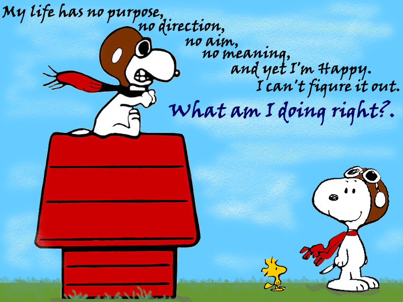 Funny Quotes Snoopy Good Night QuotesGram