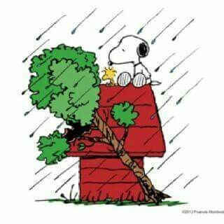 We are watching as Hurricane Dorian approaches Florida39s Coast and moves  onward over the next few days This H  Snoopy love Snoopy pictures  Snoopy and woodstock