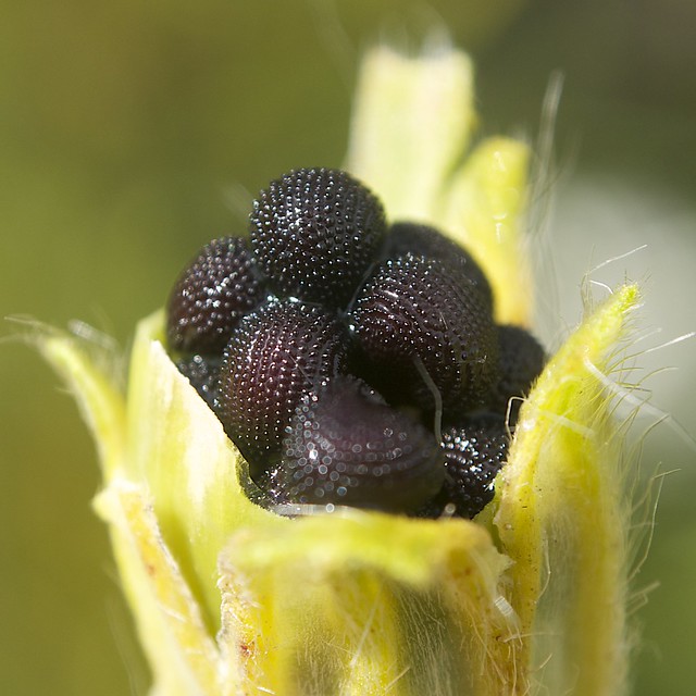 https://c1.staticflickr.com/9/8308/7907316008_a376b0cfbb_z.jpg