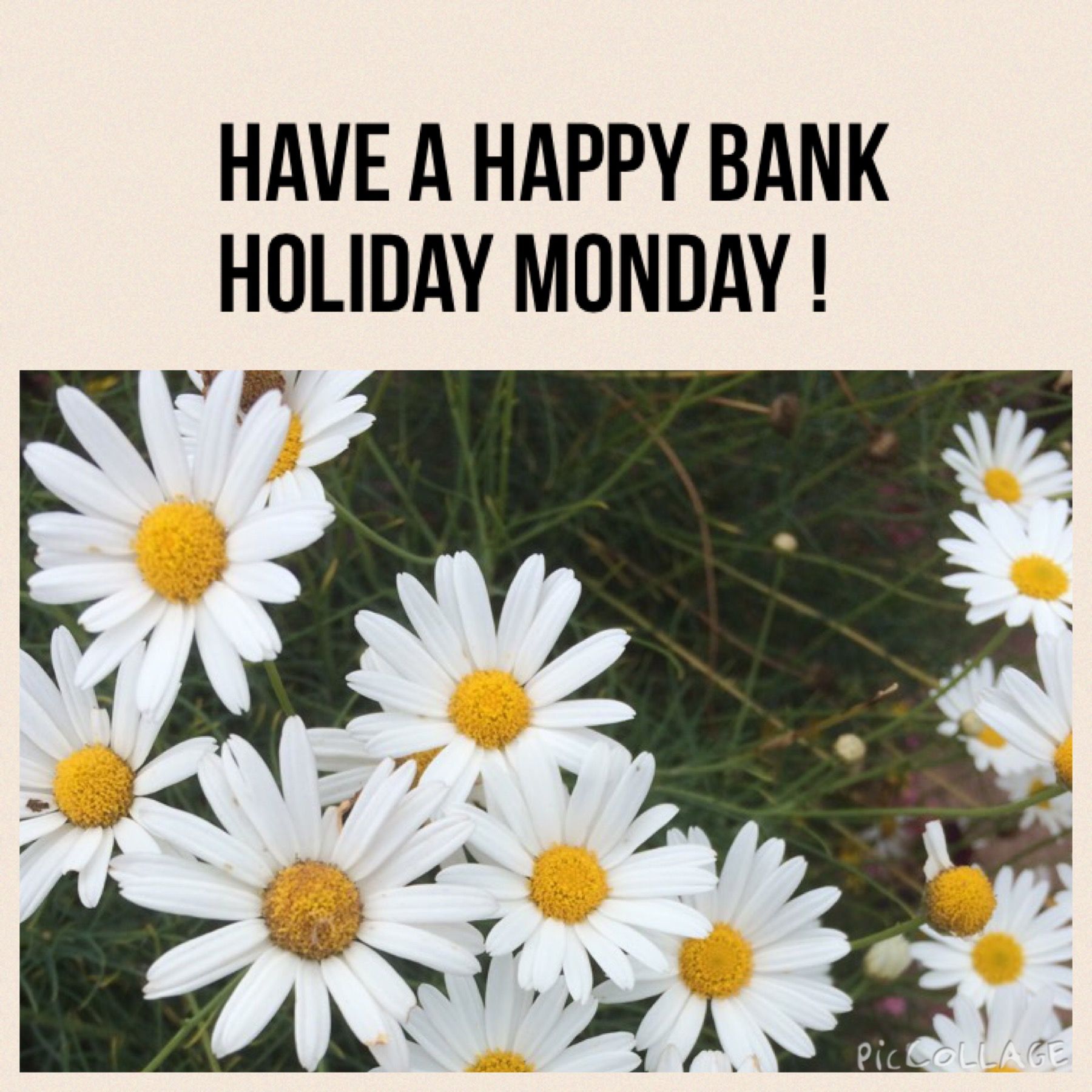Image result for bank holiday Monday images