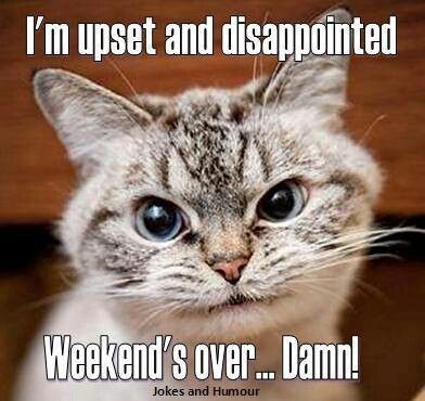 Weekend Puns