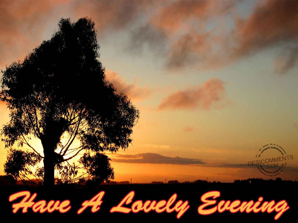 Image result for have a lovely evening images
