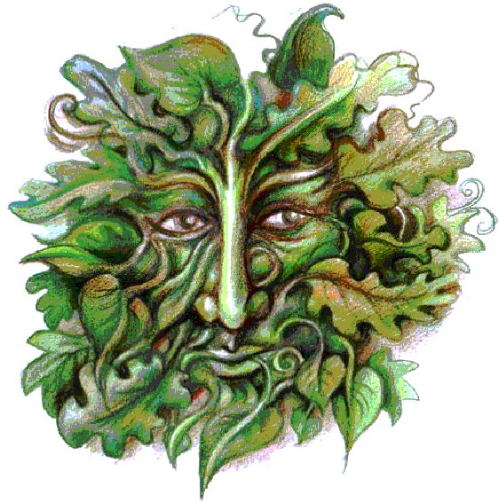 Wendy treehugger