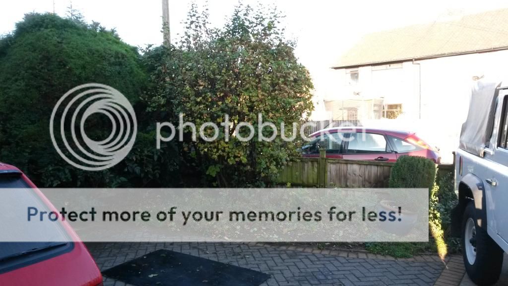 http://i819.photobucket.com/albums/zz113/LadyClarington/20141109_102342_zpstgjybhep.jpg