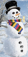 http://i1143.photobucket.com/albums/n627/thedogcody/snowman_nose.gif