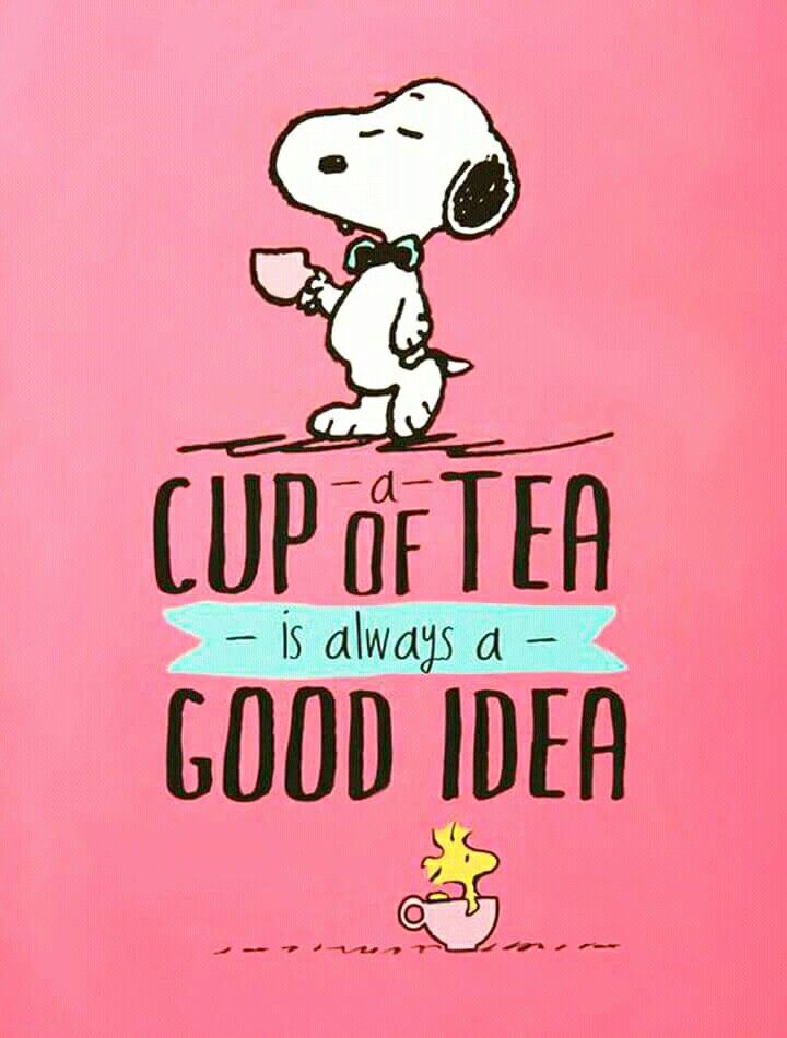 Pin by Sarah Alves on Snoopy  Snoopy wallpaper Snoopy love Snoopy