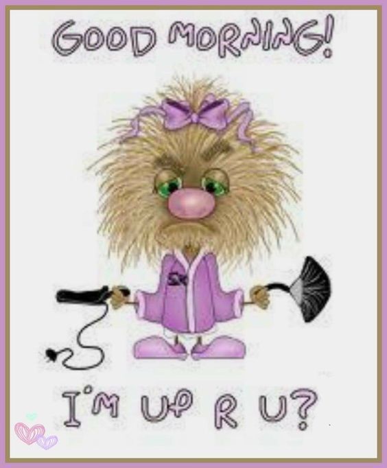 Im up are you in 2020  Morning quotes funny Morning humor Funny good  morning quotes