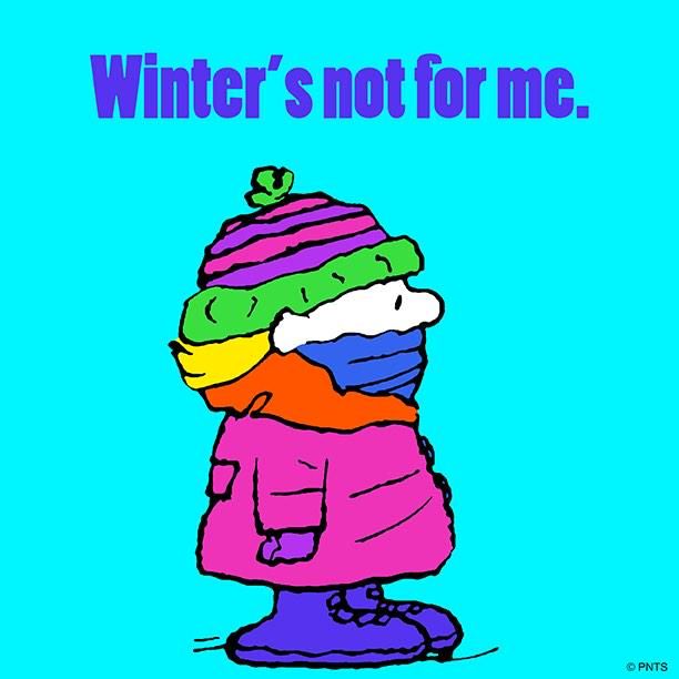 PEANUTS on Twitter  Peanuts gang Snoopy Snoopy pictures