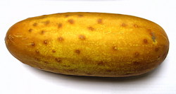 plant picture