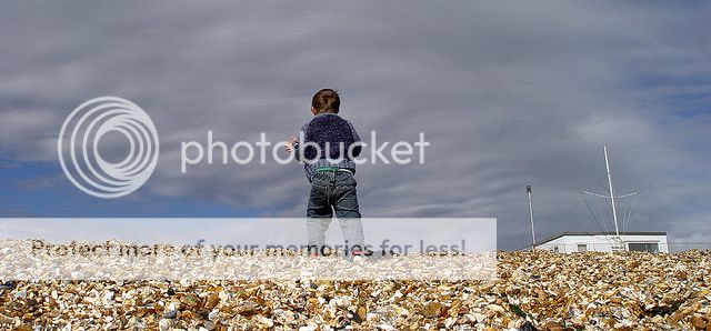 http://i1143.photobucket.com/albums/n627/thedogcody/956771705_8175e13ce9_z_zps77913818.jpg