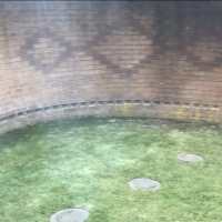 singhsurvey
