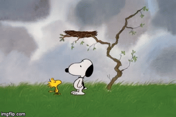 An animated GIF  Snoopy pictures Snoopy comics Snoopy love