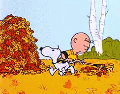 Snoopy Helps Raking Leaves GIF - RakingLeaves Raking Snoopy - Discover amp  Share GIFs  Great pumpkin charlie brown Charlie brown Charlie brown and  snoopy