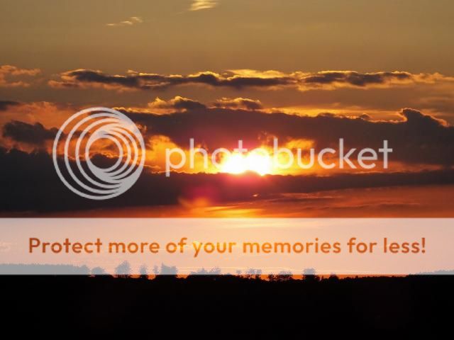 http://i27.photobucket.com/albums/c186/DavidKnapper/007_zpscb4690aa.jpg