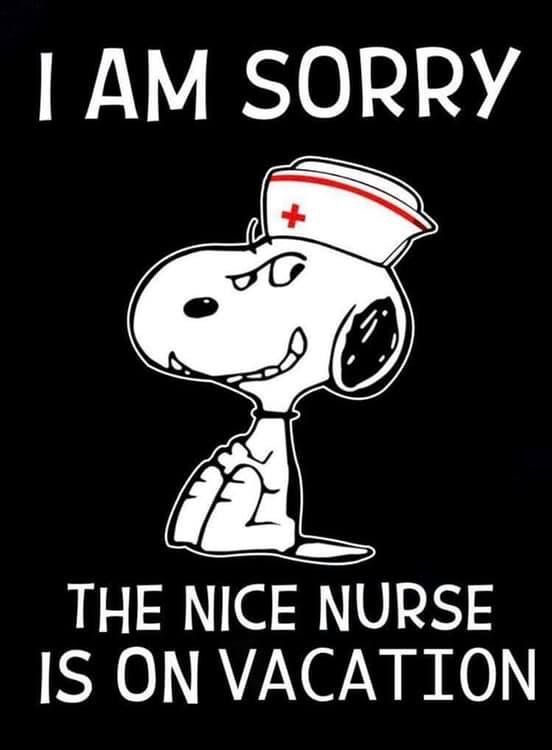 Pin by Lisa Peterson on DoctorDentist SnoopyGet WellSick  Snoopy funny  Snoopy pictures Goodnight snoopy