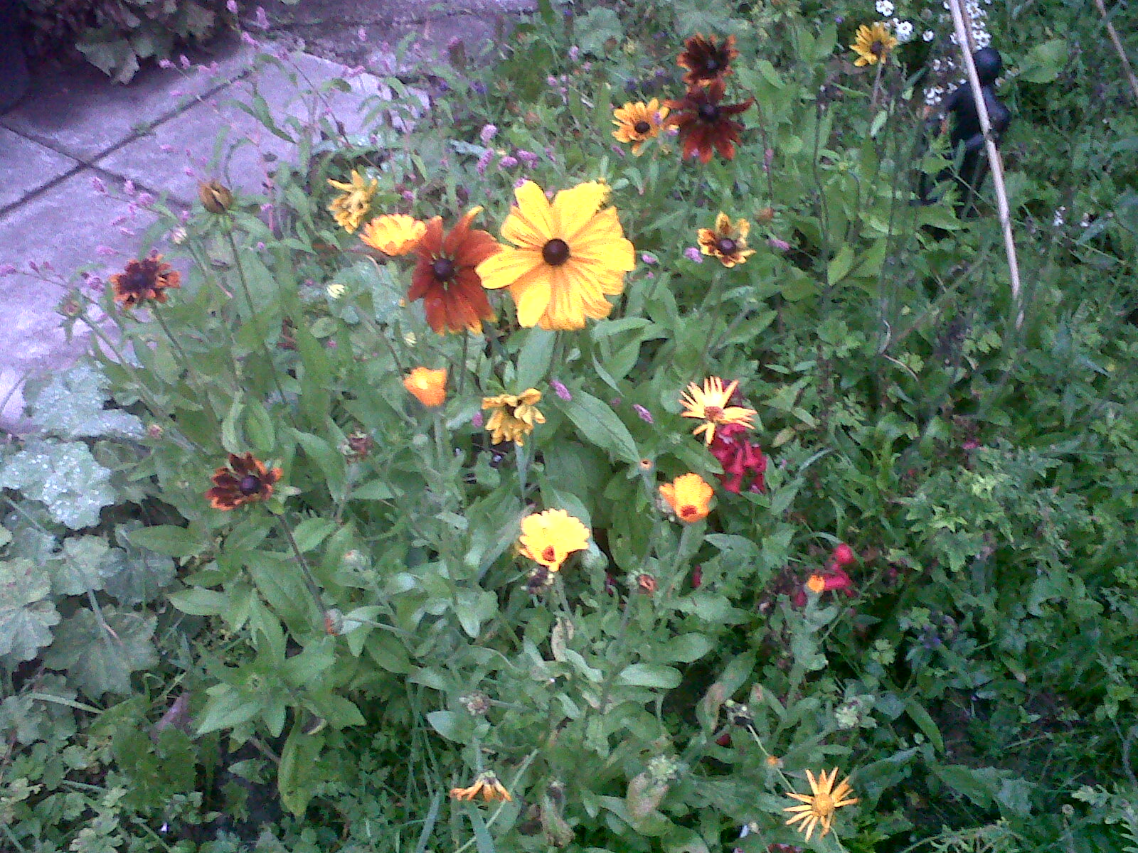 The Pen Yr Orsedd Gardener