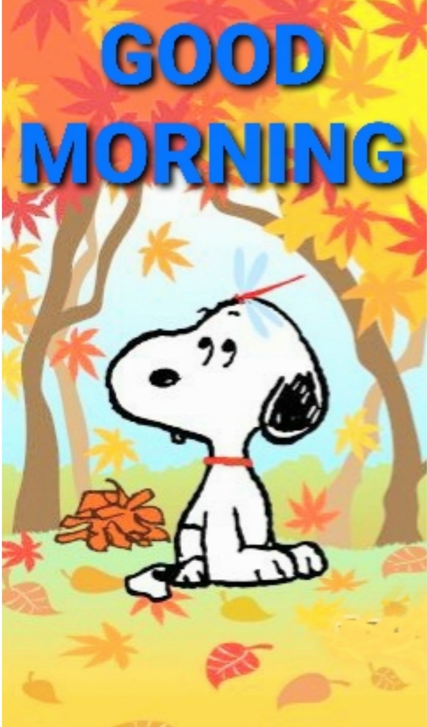 120 Good morning snoopy ideas in 2021  good morning snoopy snoopy snoopy  quotes