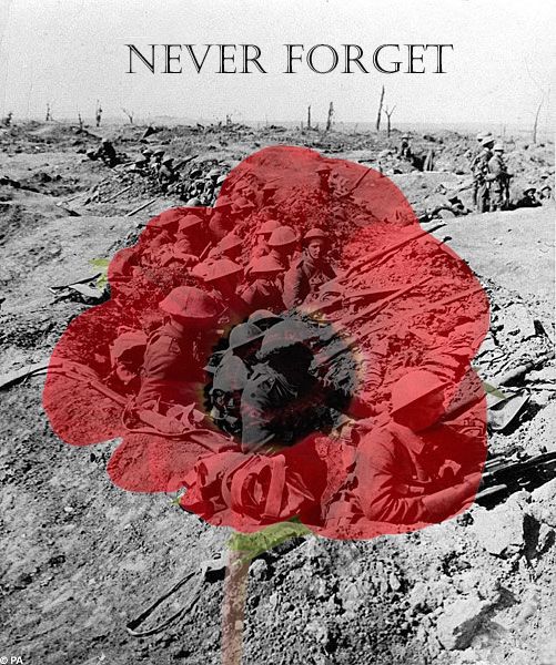 Image result for Remembrance Day