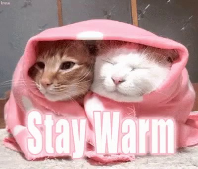 Image result for Keep warm images