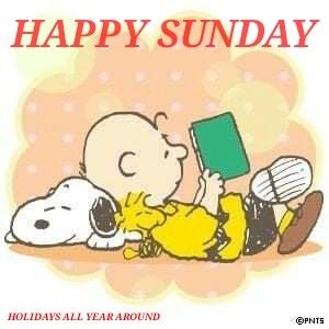 210 Happy Sunday ideas in 2021  happy sunday charlie brown and snoopy  snoopy love