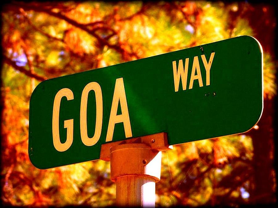 GOA Way Photograph by Vera Keane