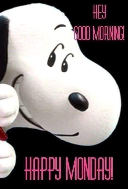 Happy Monday  Good morning snoopy Cute good morning gif Snoopy pictures