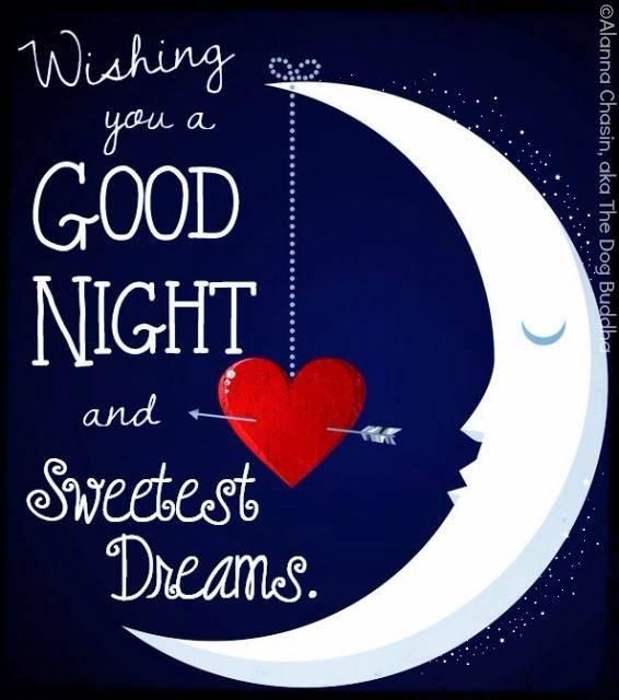 Good night der   Hope you have a wonderful night  Good night  messages Good night quotes Good night sweet dreams
