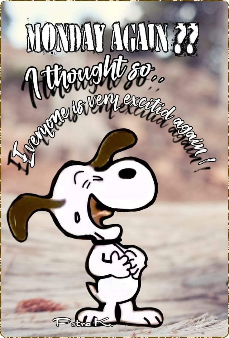 Pinterest in 2023  Snoopy Fictional characters Cute