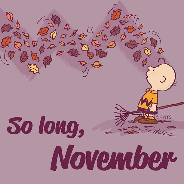 PEANUTS on Twitter Goodbye November   Charlie brown and snoopy  Snoopy Blog pictures