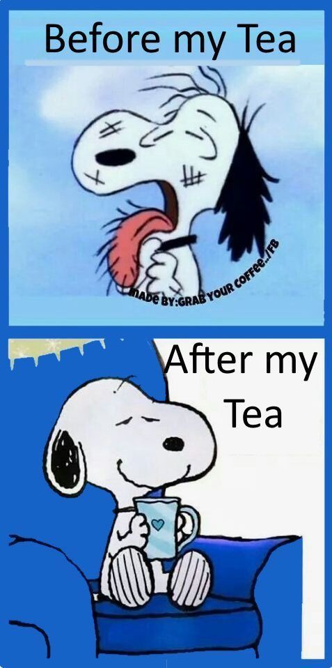 Pin de Tea Can Heal en Tea Quotes  Frases de snoopy Snoopy Imgenes de  snoopy