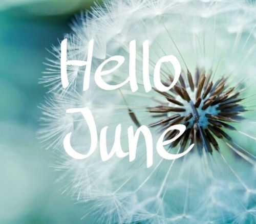 Hello June months june hello june june quotes  Hello june June quotes  June pictures