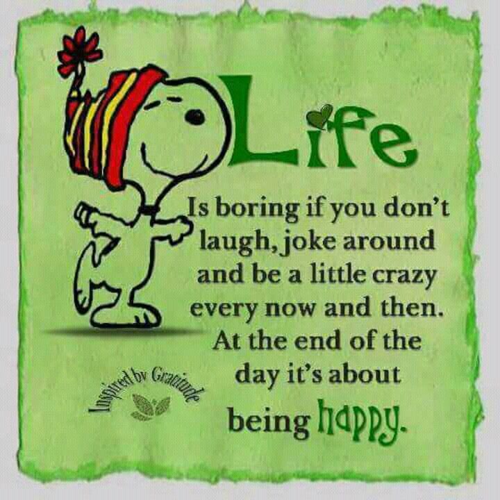 Pin by Anne on Snoopy  Snoopy quotes Snoopy love Gratitude day