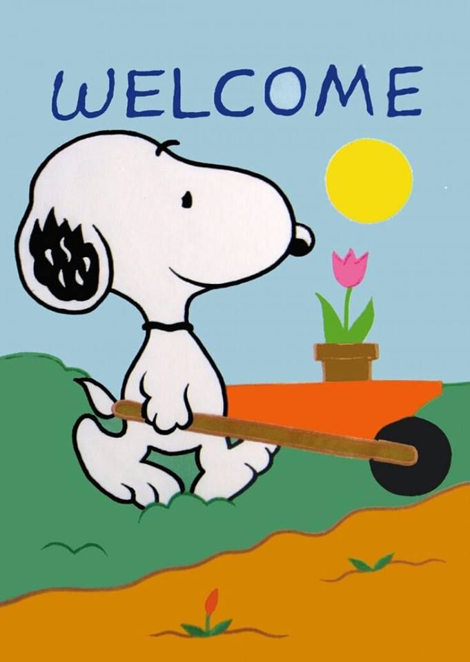 34 Snoopys Garden ideas  snoopy snoopy love charlie brown and snoopy