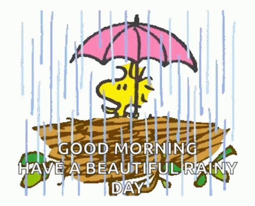 Snoopy In The Rain Pictures GIFs  Tenor