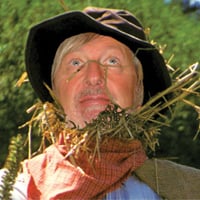 Flowerpot Man