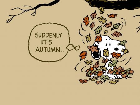 Suddenly its Autumn -  Peanuts comic strip Snoopy love Snoopy