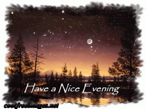 Nice Evening GIF - Nice Evening Trees - Discover  Share GIFs