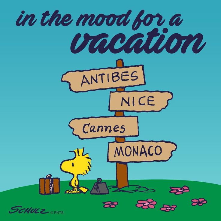 Snoopy And The Peanuts Gang on Instagram In the mood for a vacation    Charlie brown and snoopy Snoopy and woodstock Snoopy