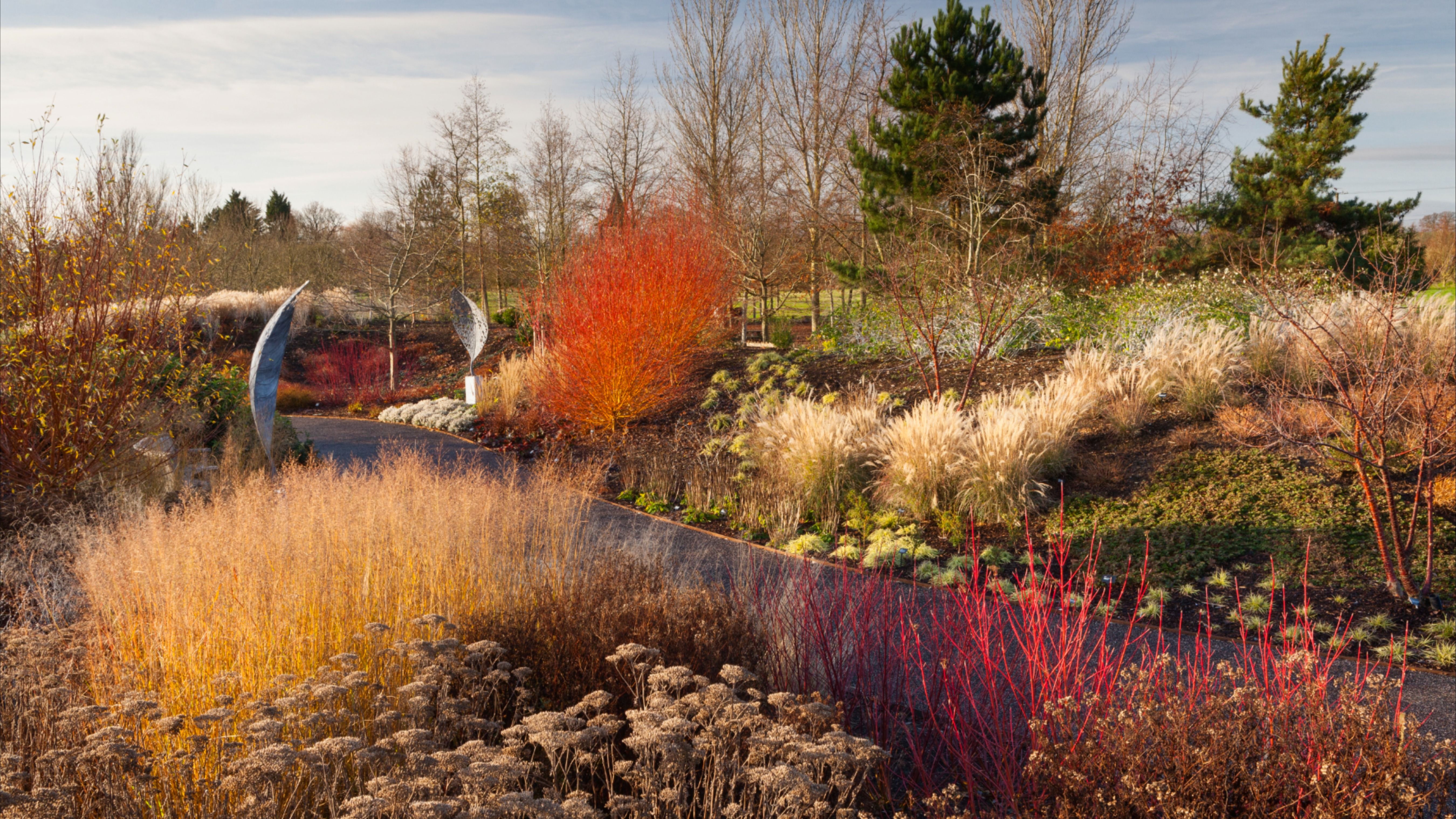 The RHS rhshome - Profile  Pinterest