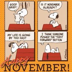Good morning everyone Goodbye October Hello November I can hear  Christmas songs already lol  Snoopy comics Happy november Charlie brown  and snoopy
