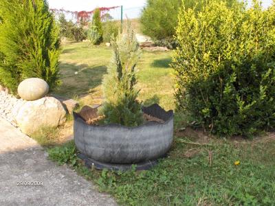 http://imagensubir.infojardin.com/subida/images/klz1254270114o.JPG