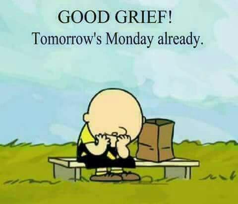 Pin by Cynthia Scott on days of the week  Snoopy funny Charlie brown  quotes Snoopy quotes