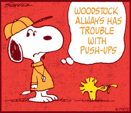 PEANUTS on Twitter  Snoopy love Snoopy cartoon Snoopy and woodstock