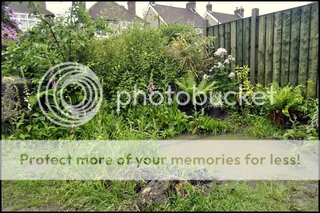 http://i232.photobucket.com/albums/ee192/thebear843/Garden/003-001.jpg