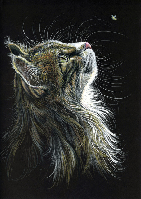 wildhouse1