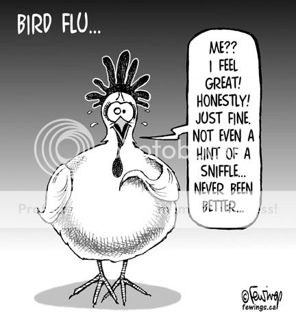 http://i1143.photobucket.com/albums/n627/thedogcody/040406BirdFlu.jpg