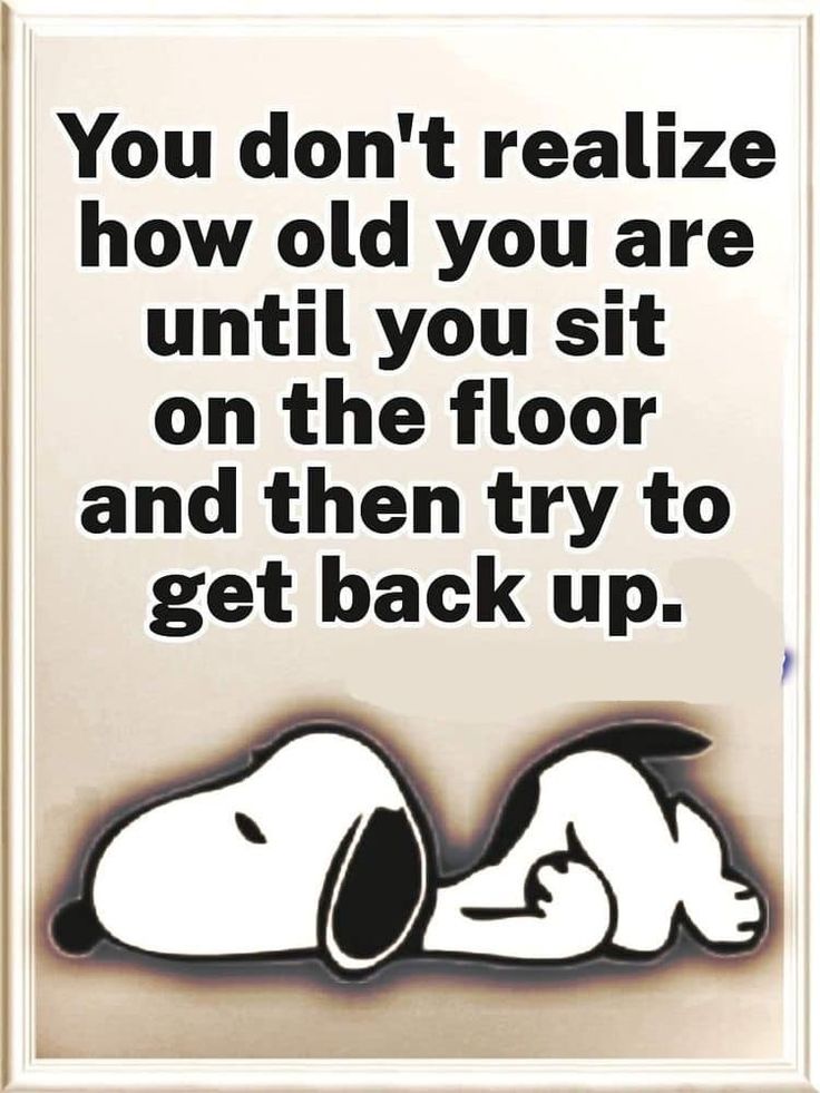 snoopy fan in 2023  Funny day quotes Funny cartoon quotes Funny quotes