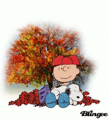Charlie Brown Fall  Charlie brown and snoopy Snoopy pictures Snoopy love