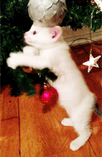 Image result for Kitten wrecking Christmas tree gif tree